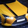 Car Hood Sticker Personalized Stripe Auto Body Decals Car Tuning Stickers For Citroen C1 C3 C4 Picasso C5 C6 VTS C-ELYSEE C5 C6