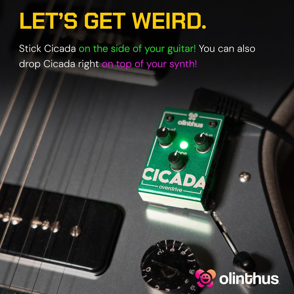 Педаль эффектов Olinthus Cicada Overdrive [В комплекте кабели-разветвители для входа и выхода]
