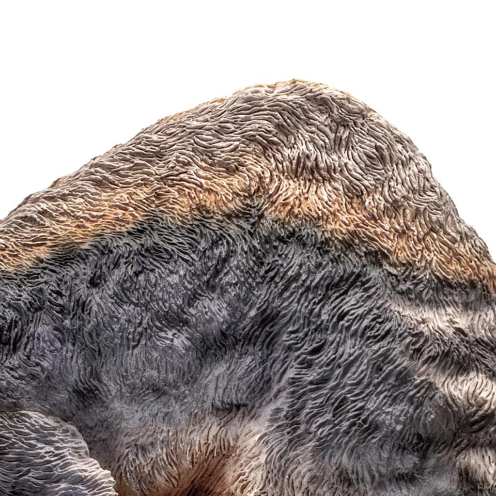 PNSO Growth Series 64 Доисторический класс Deinocheilus Окрашенный готовый продукт Deinocheilidae Sauriformes Фигурка динозавра животного Пластиковая модель Игрушка