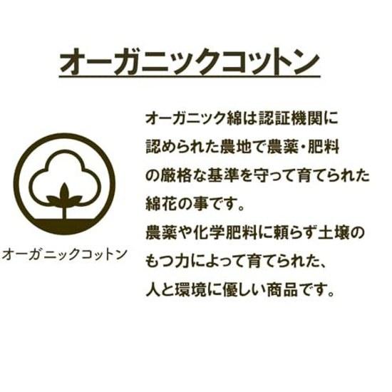 Marushin Ghibli Face Towel My Neighbor Totoro 100 Cotton Character Goods Gift Present Birthday Mothers Day Floral Scenery