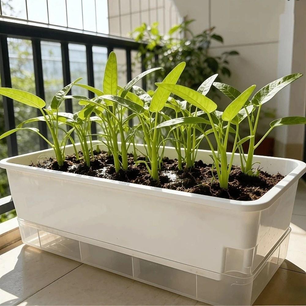 Thicken Seedling Tray Self Watering Plant Nursery Pot Growing Box Indoor Gardening