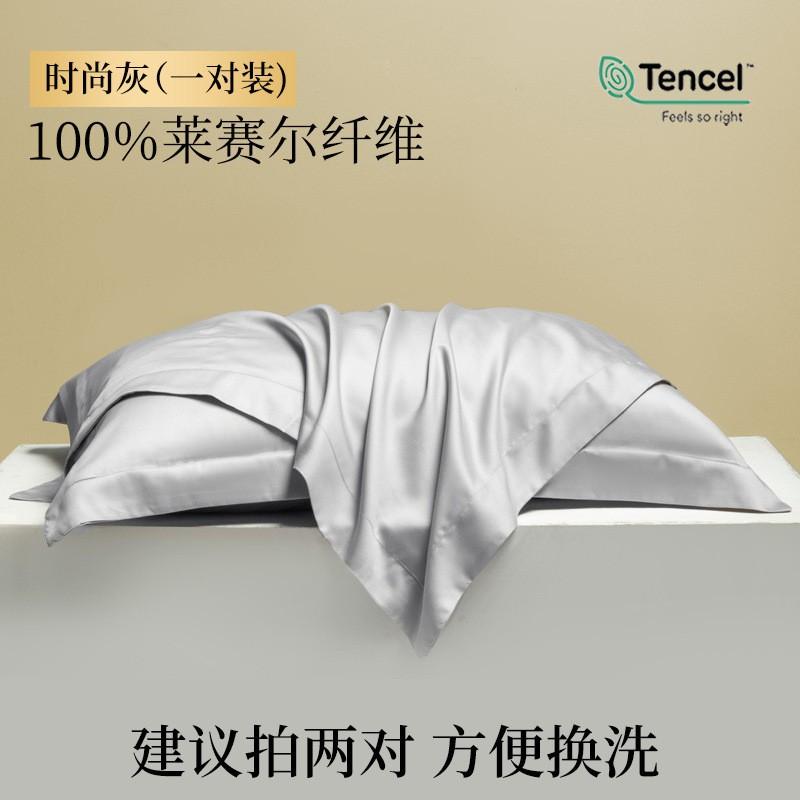 Tencel Pillowcases Set Of 2 48x74cm Modal Fiber Breathable Cooling Sleep Cover Modern Minimalist Design