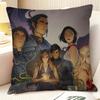Novel AA Court of Thorns and Roses  Natural Linen Organic Fabric DoubleSided Printing Sofa Home Decor Gift Pillow Case