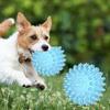 Interactive Dog Chew Toy Bite Resistant Teeth Cleaning Boredom Relief Small Medium Large Dogs Pet Supply