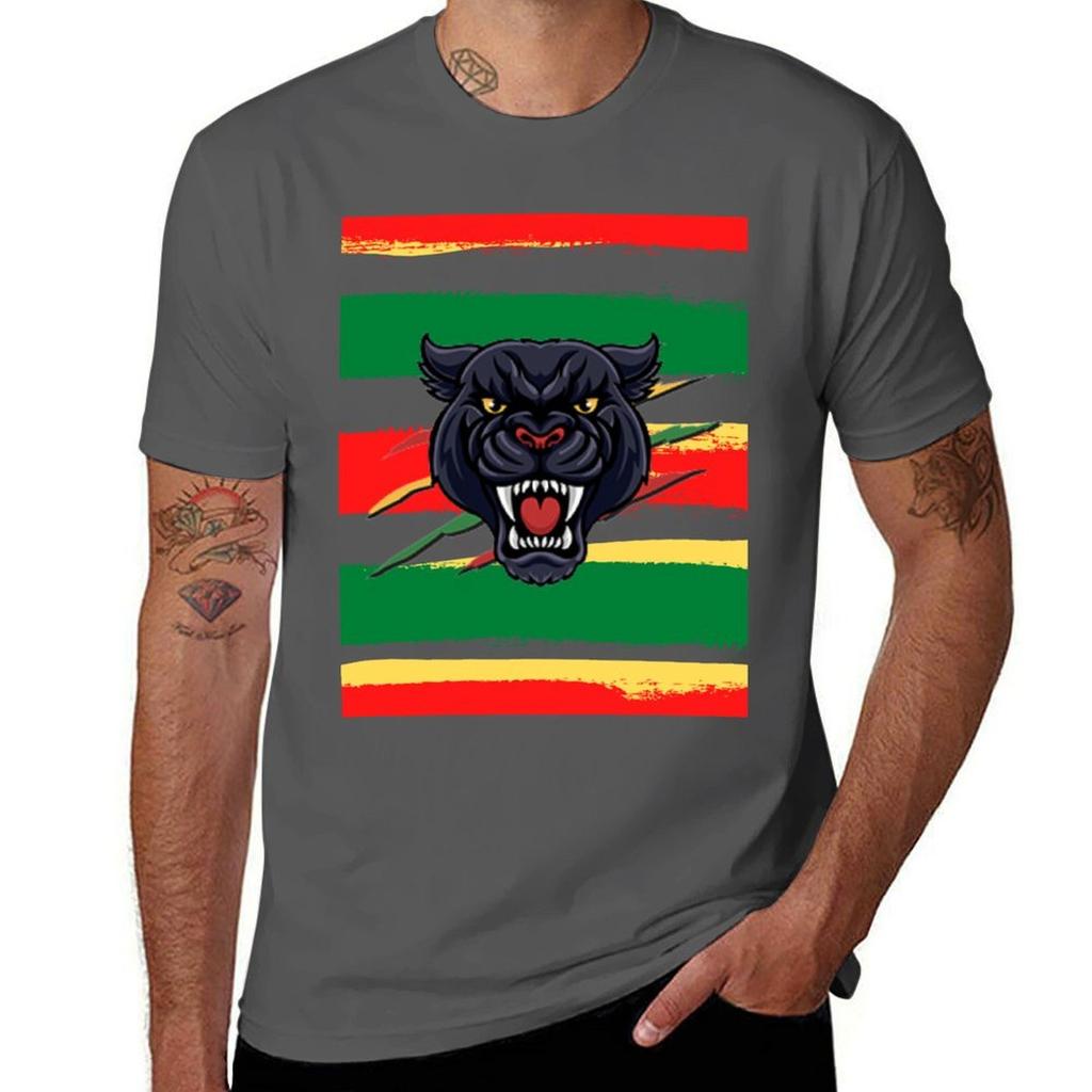 Футболка Penrith Panthers Scratch Street Paint Праздничная футболка