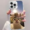 Pet Cat Funny Memes Phone Case For IPhone 16 15 14 13 12 11 Pro Max X XR XSMAX 8 7 Plus Matte Shockproof Back Cover