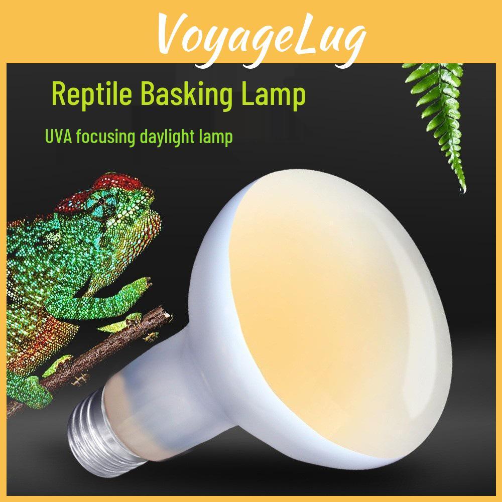 Nomo Reptile Uva 220v Heating Lamp For Tortoise Turtle Lizard Gecko No Color Box Day Lamp