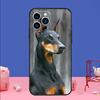 Doberman Dog Phone Case For iPhone 17 16 15 14 13 11 12 Pro Max Plus 13 12 mini 16e 17 Air Bumper Cover
