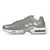 Кроссовки Air Max Plus Metallic Silver Unisex Grey-Fog FJ1012-095