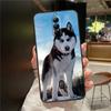 Чехол с рисунком щенка хаски Для ZTE Nubia Red Magic 10S 9S 8S 10 9 8 11 Pro Plus 6 7 6S 7S Для RedMagic 10 Air Чехол