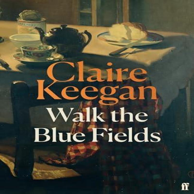 Walk the Blue Fields by Claire Keegan Hardback Book 9780571397464