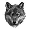 Tri Mishki W1131 Grey Wolf Head Car Sticker PVC Decals Motorcycle Accessories Sticker On Car Laptop Fridge Door Wall Window