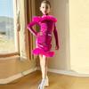 Professional Kids Latin Dance Dress Velvet Stage Costume Ballroom Dance Costume  Show Costumes