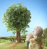 Кукла Sylvanian Families [Ягненок] He-07