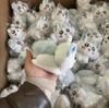 ЧиИкава Милые Плюшевые Игрушки Момонга Игровые Наборы Каваии Лежащая Кукла Брелок Мягкая Сумка Шарм Пушистое Мягкое Животное Подарок Для Друзей