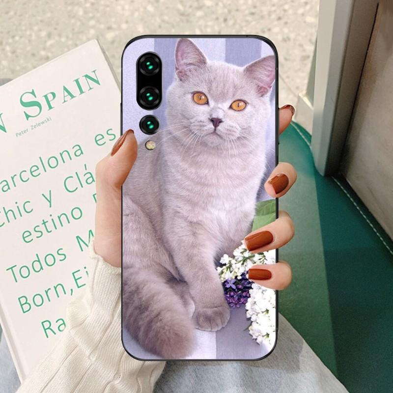 Красивый серый чехол для телефона с британской короткошерстной кошкой для Huawei P50 P40 P30 Pro Lite P Smart 2021 2019 Magic 3, мягкий черный чехол для телефона
