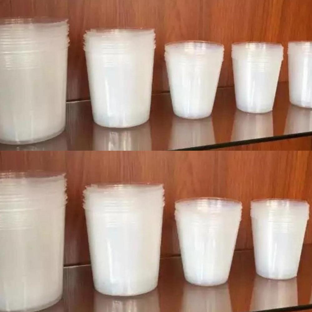 Прозрачные горшки для рассады Пластиковые контейнеры для размножения орхидей Цветы Овощи Выращивание Принадлежности для рассады Садовые инструменты