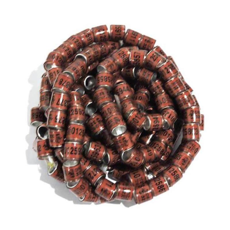 20 шт. Кольцо на ногу голубя со словом 2025 Качественное Прочное Кольцо для птиц Разноцветное