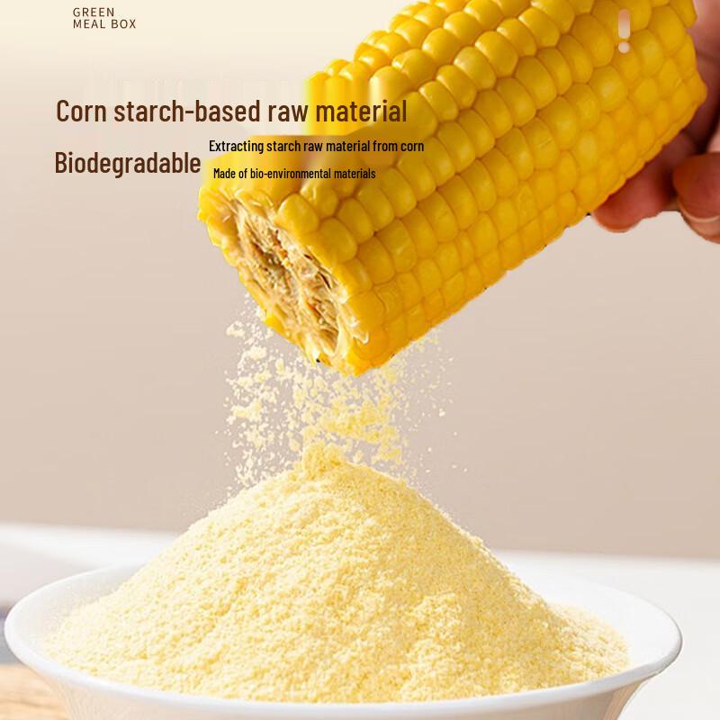 XinYi 4-Compartment Biodegradable Takeout Meal Boxes