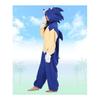 [SAZAC] Kigurumi Sonic the Hedgehog Character Adult Fleece Free Size szc352