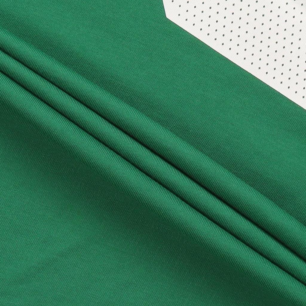 Nike Мужские трикотажные изделия NBA Boston Celtics Jayson Tatum Statement Edition, зеленые 870761-318