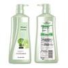 100 Year Runfa Anti-Dandruff & Itch Relief Shampoo Set