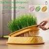 Seed Sprouting Trays Planting Hydroponics Boxes Soilless Hydroponic Cat Grass Case  Pet Supplies