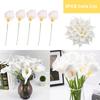 5Pcs Real Touch Calla Lilies Cala Lilly Lily Artificial Flowers Fake Silk Flower Fake Flower Wedding Ceremony Decor Home Garden