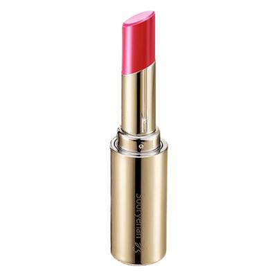 Губная помада Yeon Silk Lip Rouge, розово-розовая, 3,5 г, 1 шт.