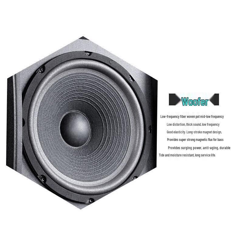 Профессиональные пассивные акустические системы SAST для KTV и конференций