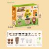 Educational Science Kit: Kindergarten & Primary School Plant Observation Toy Set