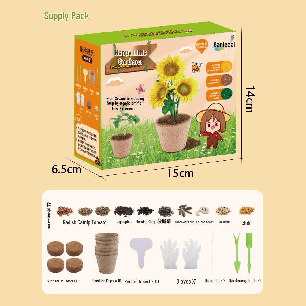 Educational Science Kit: Kindergarten & Primary School Plant Observation Toy Set