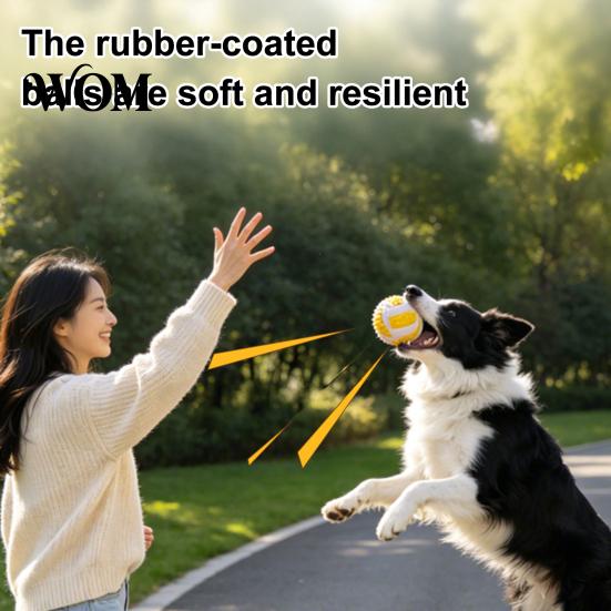 Safe Dog Chew Ball Toy Ball, Sound-Producing Rubber Durable Pet Resistant Toy, Cleans Teeth Interactive Training Outdoor Play Soft