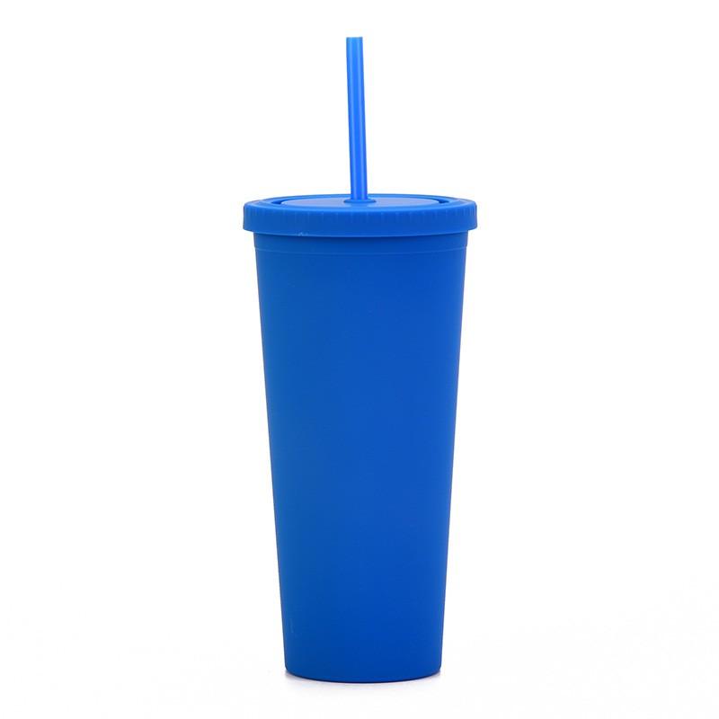 Double Wall Plastic Tumbler With Straw 24oz Large Capacity Matte Finish Travel Cup Office Home Car Outdoor