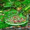 Yousheng Crystal Red Cherry Shrimp Round Glass Feeding Aquarium Fish Tank Dish Feeder