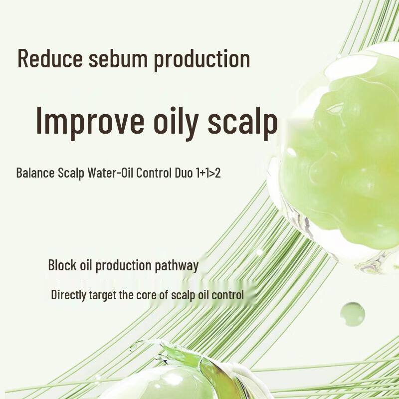 Sen Zhi Lu Camellia Seed Oil Control Gentle Shampoo