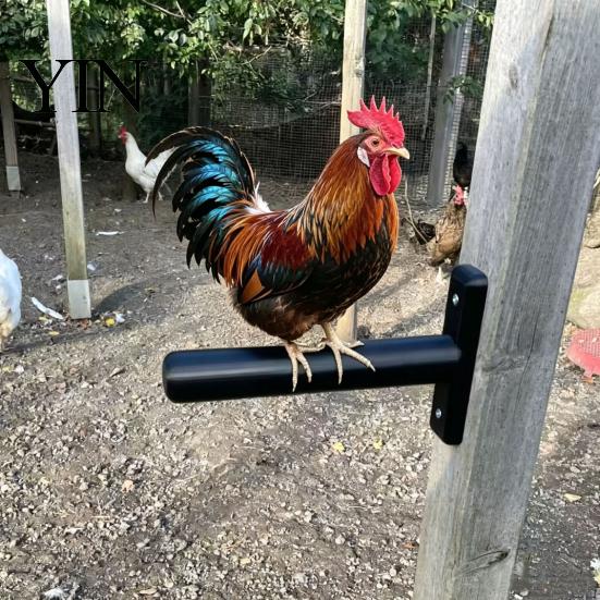 Chicken Coop Accessories Wall-Mounted Perch, Roosting Bar, Habitat Easy Perch Installation on Posts Fences for Poultry Health Hygiene Durable Roost