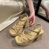 Coarse Heel Roman Sandals Women's 2025 New Summer Fashion Casual Women's Shoes Waterproof Table Wedge Heel High Heels Foreign Style