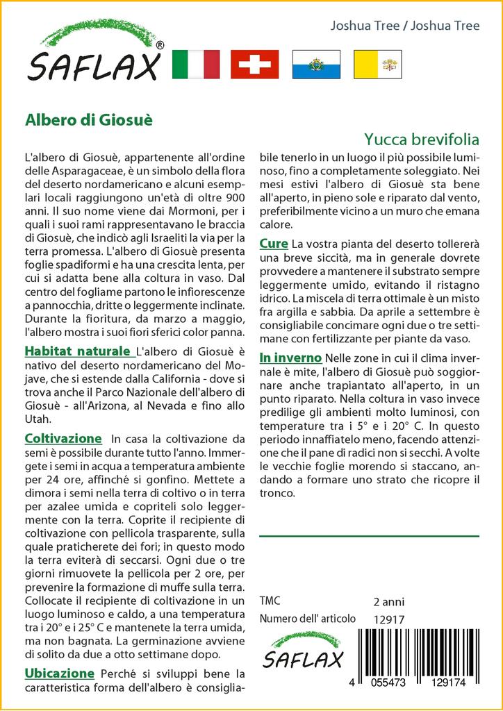 SAFLAX Дерево Джошуа - 10 семян - Юкка коротколистная