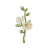 Style Enamel Lily Magnolia Alba Flower Brooches For Women Weddings Banquet Office Brooch Pins Gifts Clothes Ornament