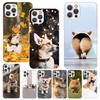Милый Прекрасный Корги Собаки Принт Мягкий Чехол для iPhone 17 Air 16 16E 15 14 Plus 13 Mini 12 11 Pro Max Оболочка Телефона SE 7 8 Узор Чехол