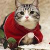 Christmas Cat Cloak Scarf Dog Pet Cosplay Costume Xmas Kitten Plush Santa Hat Funny Birthday Party Mantle Dress Up Apparel