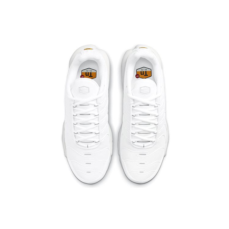 Nike Air Max Plus Triple White женские кроссовки Pure-Platinum DM2362-100