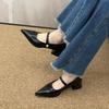 French Black Thick Heel Mary Jane Shoes Women's Shoes New Spring Pointed Light Mouth High Heel Commuter Shoes