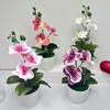 Compact Design Fake Flower Plant Phalaenopsis Bonsai