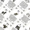 Оракул Карты Колода из 54 карт Английская версия Для вечеринки гаданий Карточная игра-викторина Колода карт Судьба Гадание Настольная Игра