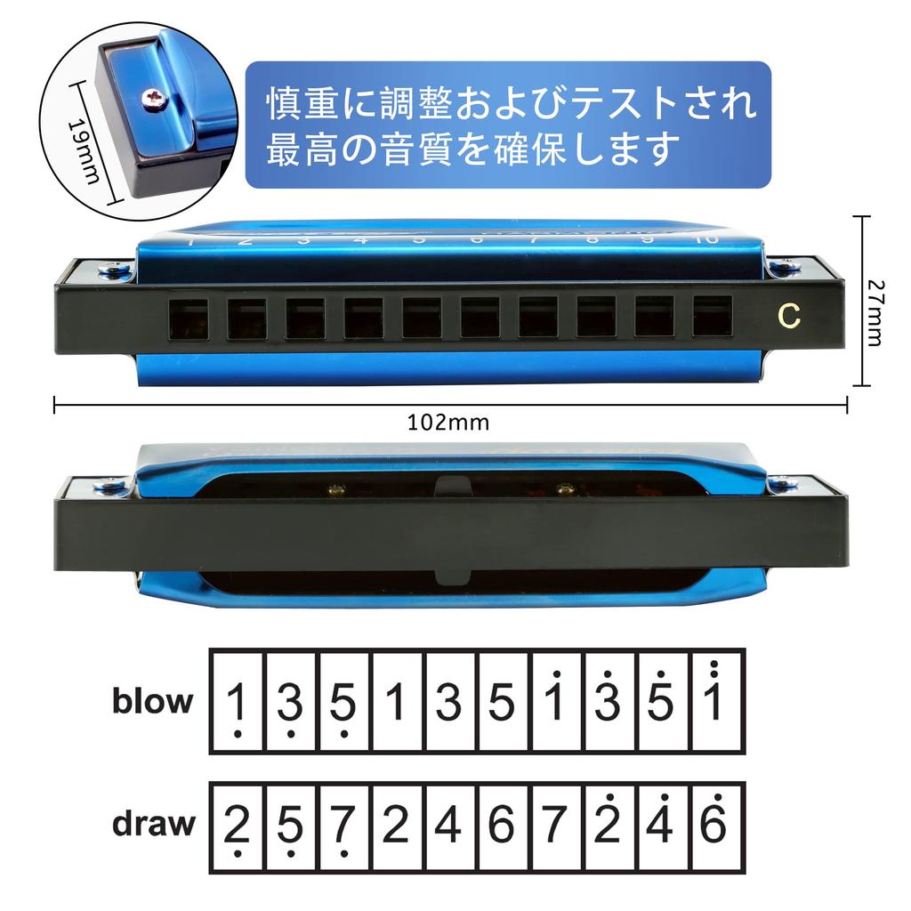 East Top Blues Harmonica for Beginners and Stainless Steel C 10 20 ABS Chrome Phosphor Bronze Cleaning Airtight Blue Suitable for and as a Gift for