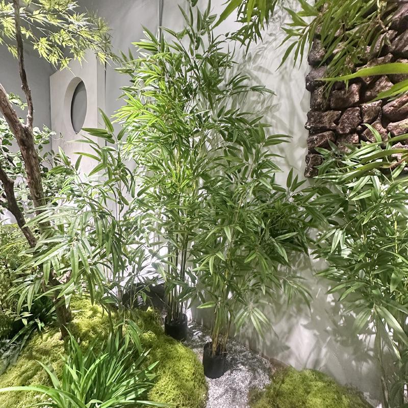 Zen Bamboo Bonsai Decor: Green Bamboo Plant for Home, Office, or Shop. Perfect for Living Room or Entryway.