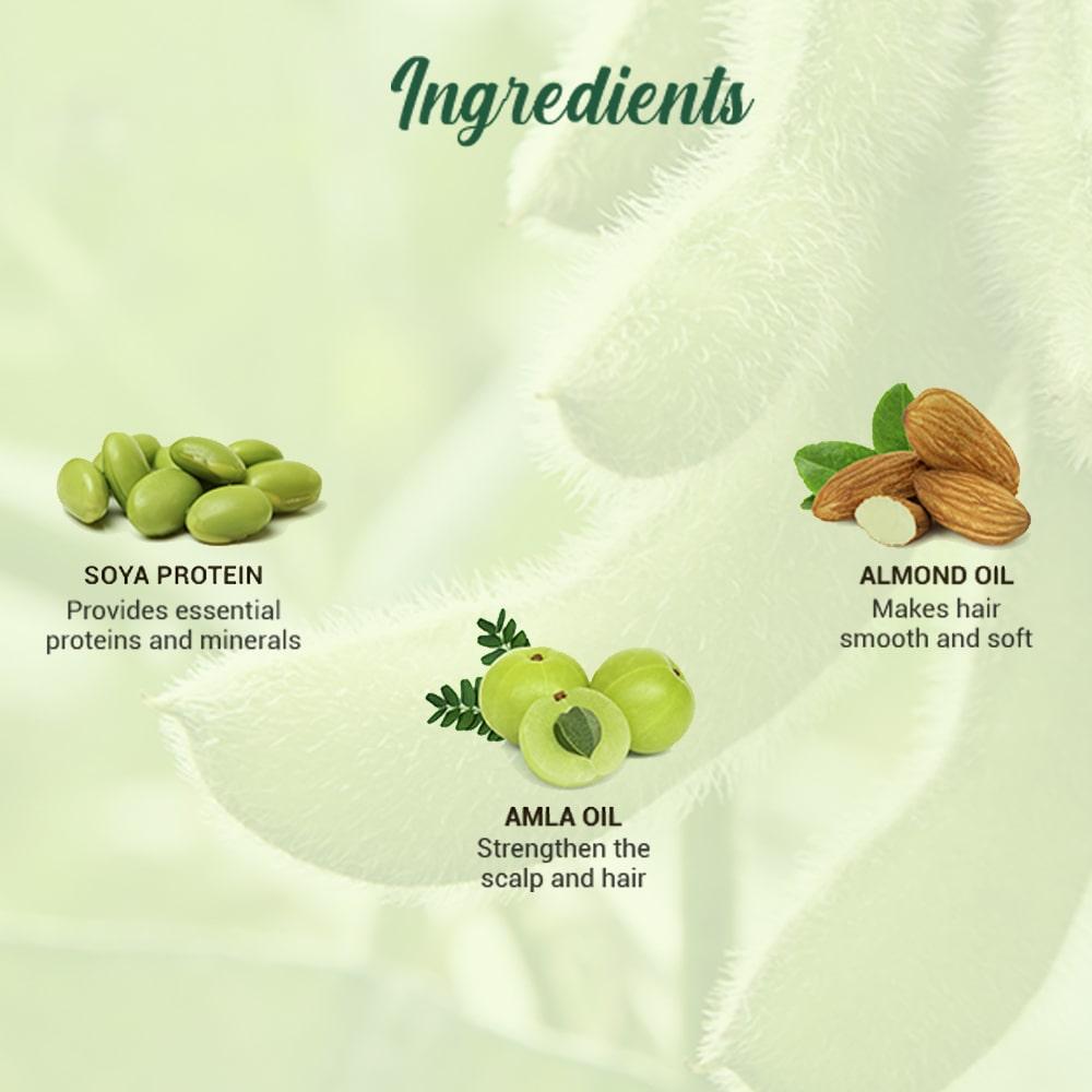 Biotique Шампунь с соевым протеином для сухих и поврежденных волос 120 мл Баланс pH Здоровый блеск Защита цвета Натуральные растительные экстракты