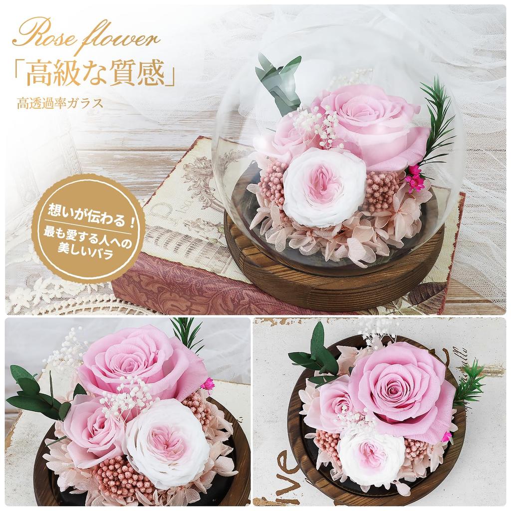 SENJWARM Preserved Flowers Birthday Gift for Women Japanese Style Glass Dome Flower Arrangement Wrapped Popular Popular Day White 60th Respect for the